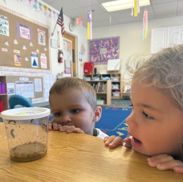 Kids looking at a caterpillar